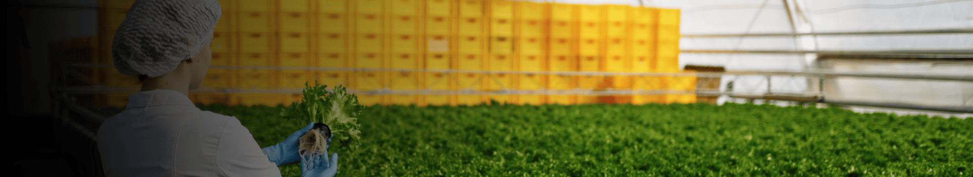 food-and-beverage-industry